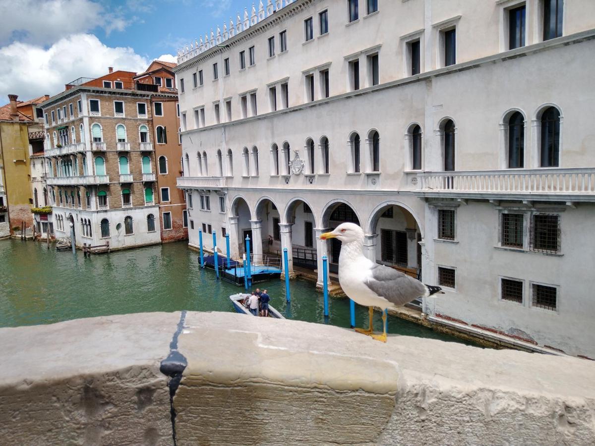 Island Appartement Venise